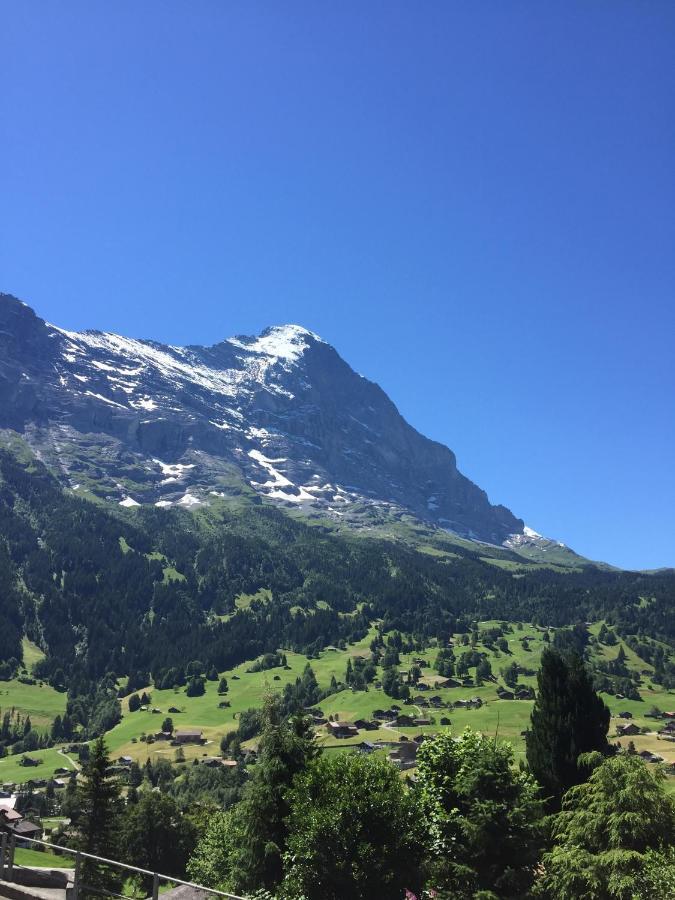Apartment Jungfrau Lodge Grindelwald Exterior foto